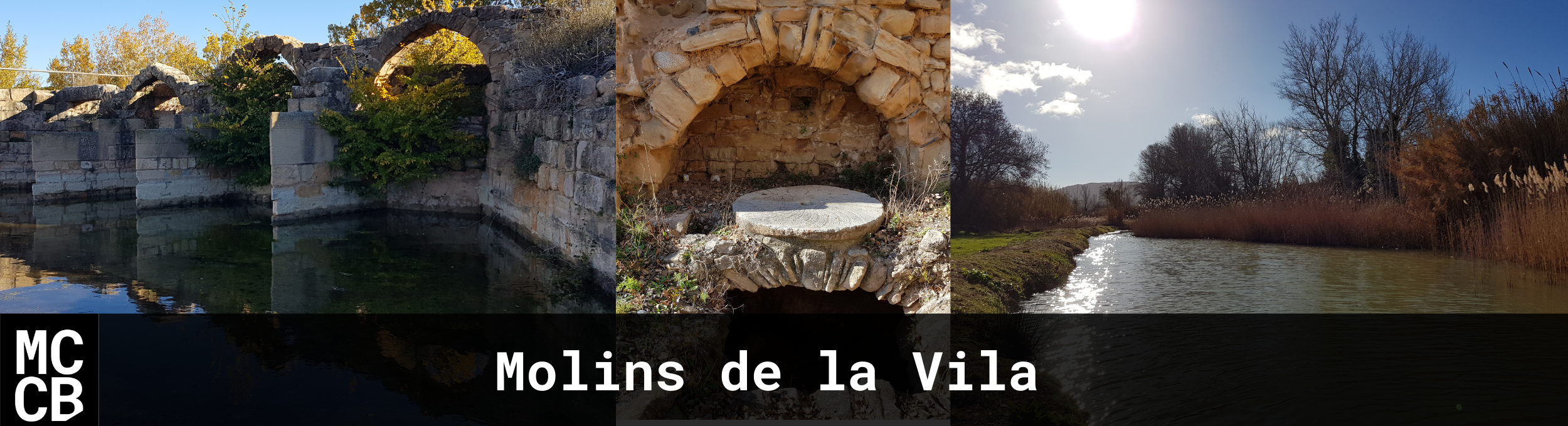 Molins